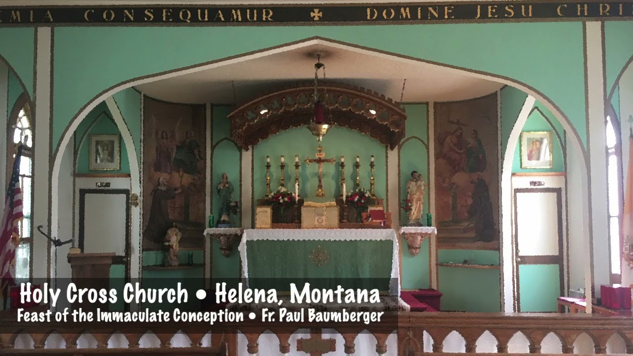 Holy Day Sermon • Feast of the Immaculate Conception • 2025