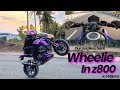 Purple is back   z800 first wheelie   top speed check 