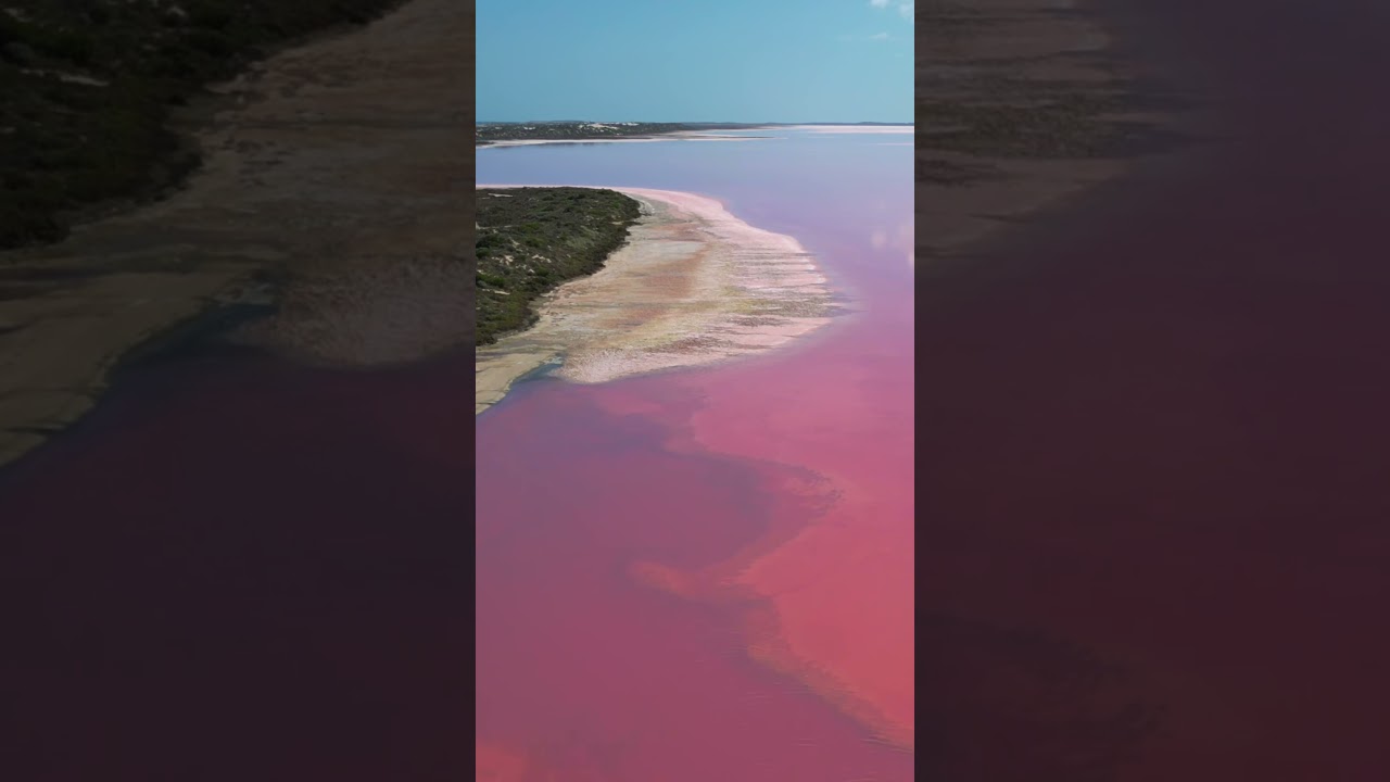 Hutt Lagoon pink lake (Western Australia) 
