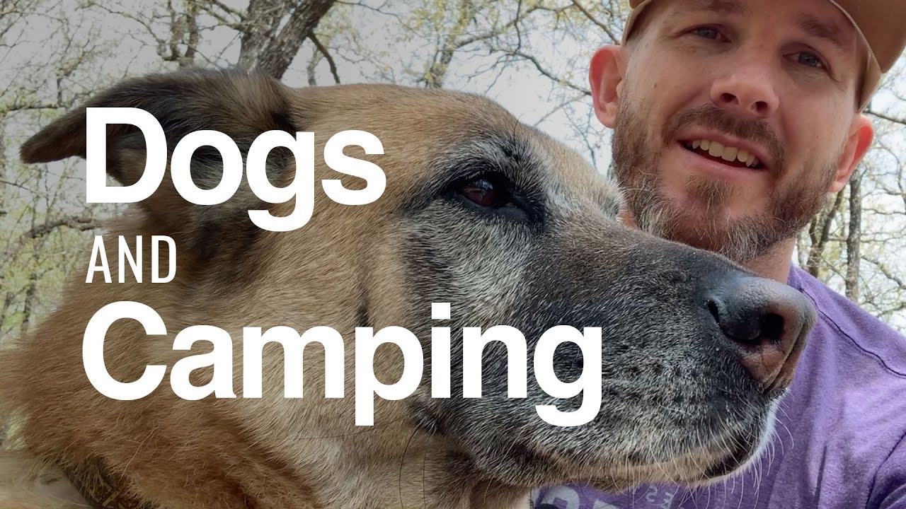 Is Camping With A Dog Worth The Trip? YouTube