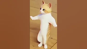 بسبوس عاشق بسه 