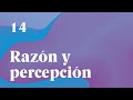 ¿Es verdad tu realidad? Un Curso de Milagros: Razón y percepción - Enric Corbera