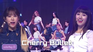 체리블렛 (Cherry Bullet) - Q&A 2020 Ver. | 무릎을 탁 치고 (Hands Up) SHOWCASE