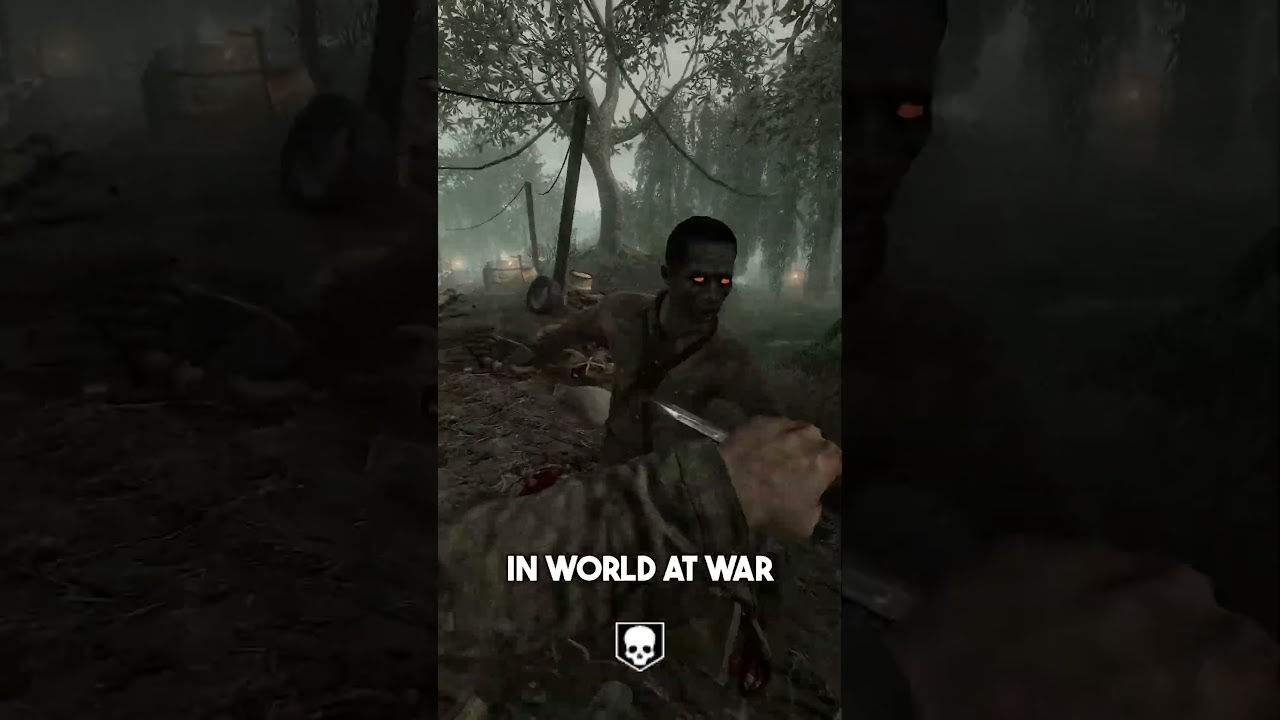 You're a LARP if you FORGOT These CoD Zombies Facts!