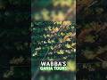 Wabbas weed adventure tour jamaica travel adventures