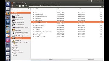 How To Install Xnoise Media Player Using PPA On Ubuntu 13.04