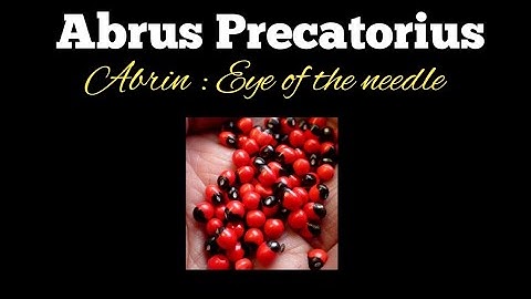 Abrus Precatorius Poisoning