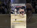 [伝説の青白戦]まるでレスリング！ 白鵬v 朝青龍 投げ技連発の激闘全解説🔥☄️💪🏼🇯🇵#日本 #相撲 #sumo #wrestling #prowrestling #相撲 #プロレス #横綱
