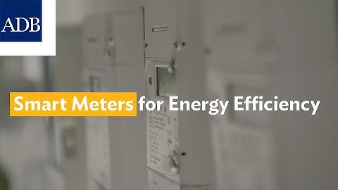 Smart Meters for Energy Efficiency (English)
