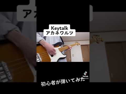 Keytalk「アカネワルツ」ベースで弾いてみた。著作権対策としてついでに歌ってみた。#keytalk  #弾いてみた #hikakin #みそきん