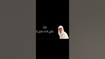 سورة الفجر #القارئ #عبدالرحمن_مسعد #ياسر_الدوسري #محمد_اللحيدان #quran #قران_كريم #تلاوة_خاشعة #fyp