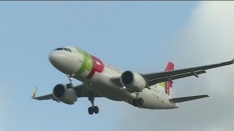 Scientists tracking COVID through airplane sewage