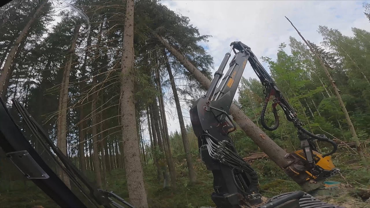 Pitkää ja suuripuista kuusikko avohakkuutta olin ennen kesälomaa tekemässä. Ponsse Ergo AF C44+ H7.