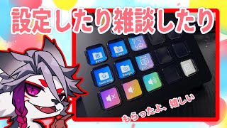 ストリームデックを設定していく！！！何もわからん！！！！