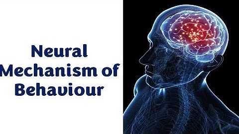 Neural Mechanism of Behaviour - GOPIKA RAJ M