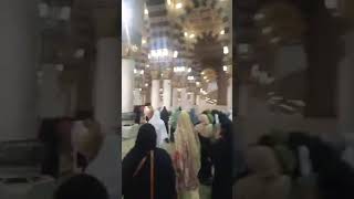 Riaz ul Jannah / Riaz ul Jannah Madina