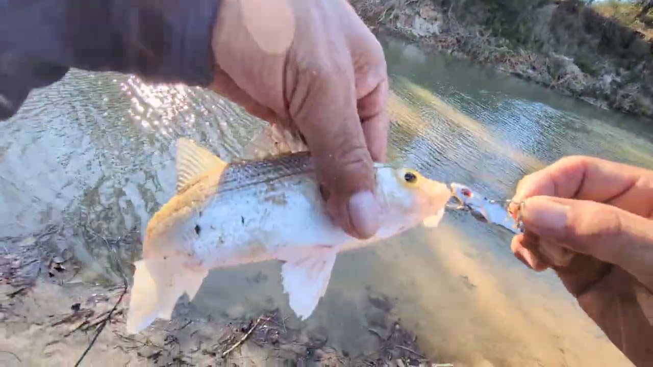 🎣🐟 CONFIDENT ATTITUDE EQUALS FISH ON THE STRINGER ON A SLOW DAY🎣👍