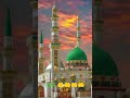 Allah 🤲 ❣️