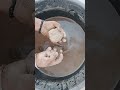 #likeandsubscribe #satisfying #crunchycrumbles #oddlysatisfying