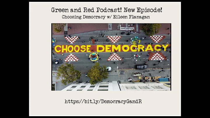 Choosing Democracy with Eileen Flanagan