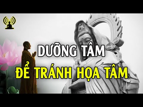 Video: Nho đen: Nhỏ, Nhưng đã Loại Bỏ