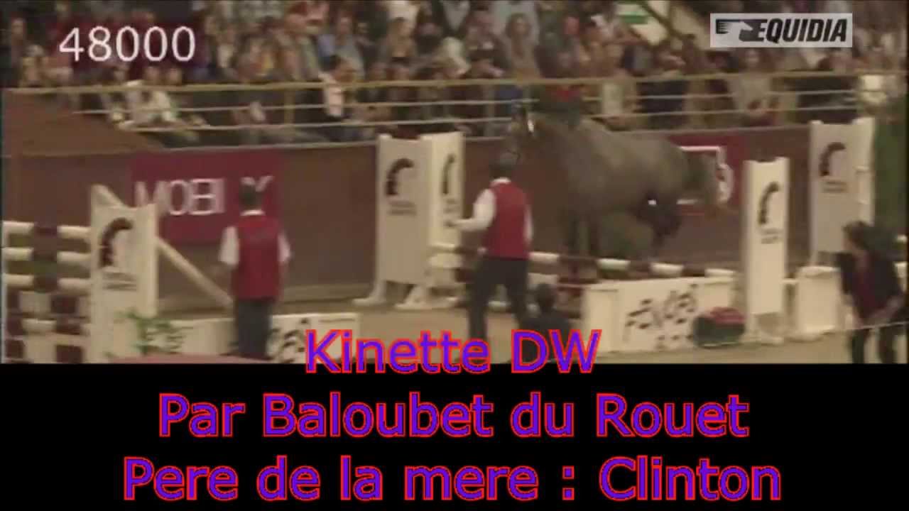 Les 30 meilleures ventes de Fences