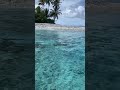 Airnya bersih dan jernih || sudah pasti segar #shorts #viral #lautan #airlaut #pantai