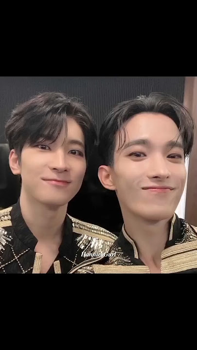 Another twin in Svt 🖤🔥 #wonwoo #dk #seokwon #seventeen #svt #shorts
