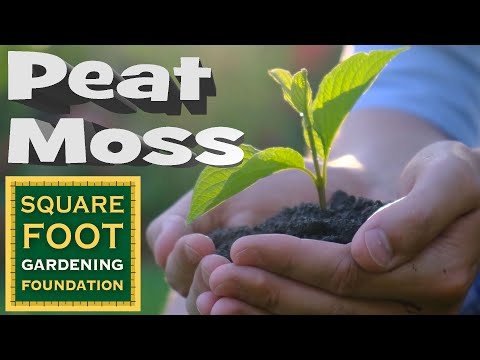 Why Use Peat Moss in Gardening