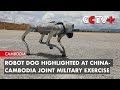 Robot dog highlighted at chinacambodia joint military exercise