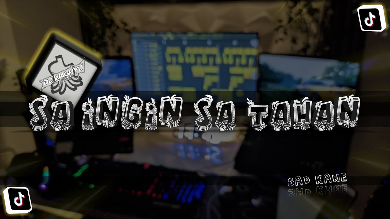 SAD KANE - Sa Ingin Sa Tahan | DJ Waghyu remix