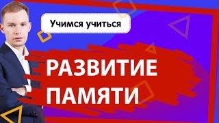 Эффективные упражнения для развитие памяти у детей | Учимся учиться! Эффективные упражнения для развитие памяти у детей | Учимся учиться!
