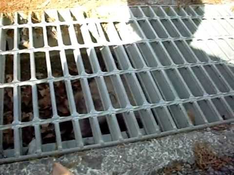 イノシシの子供発見した 荒い鼻息のような鳴き声 I Found A Child Of Boar Youtube