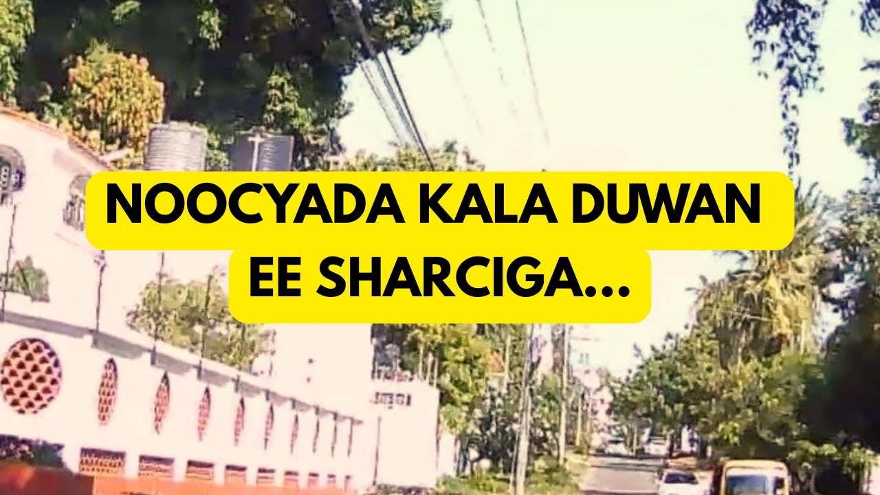 NOOCYADA KALA DUWAN EE SHARCIGA OGOLAANSHAHA DEGIDA KENYA @BeyondSomaliVibes