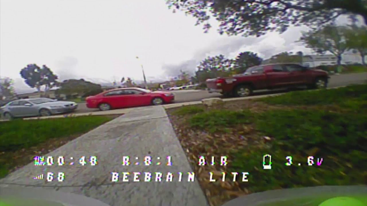 BeeBrain Lite Teaser