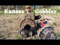Chasing Kansas turkeys with a .410 (Fast action!)