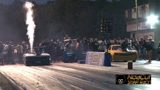 Kung Fu Panda Vs Bumble Bee Carolina Nt X