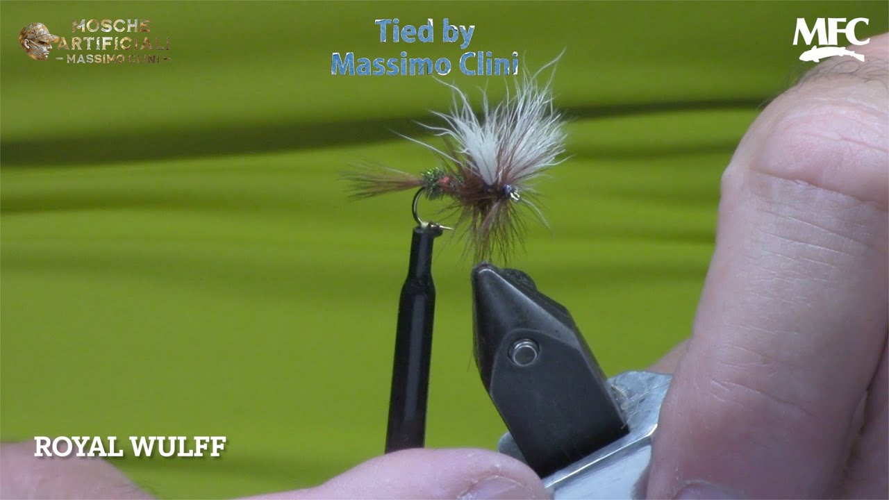 Costruzione Royal Wulff | La Regina delle Mosche da Caccia (Brown Tail)