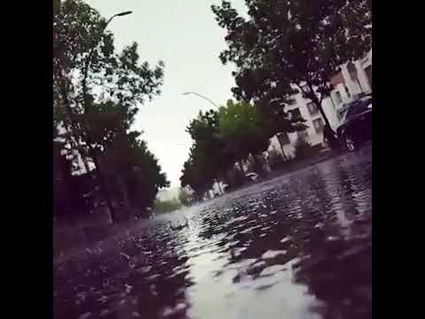 حلوة الدنيا نغمة حالات وتس