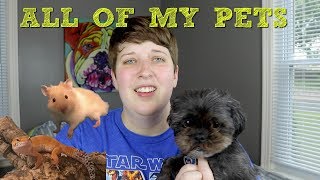 MEET ALL OF MY PETS - JUNE 2017