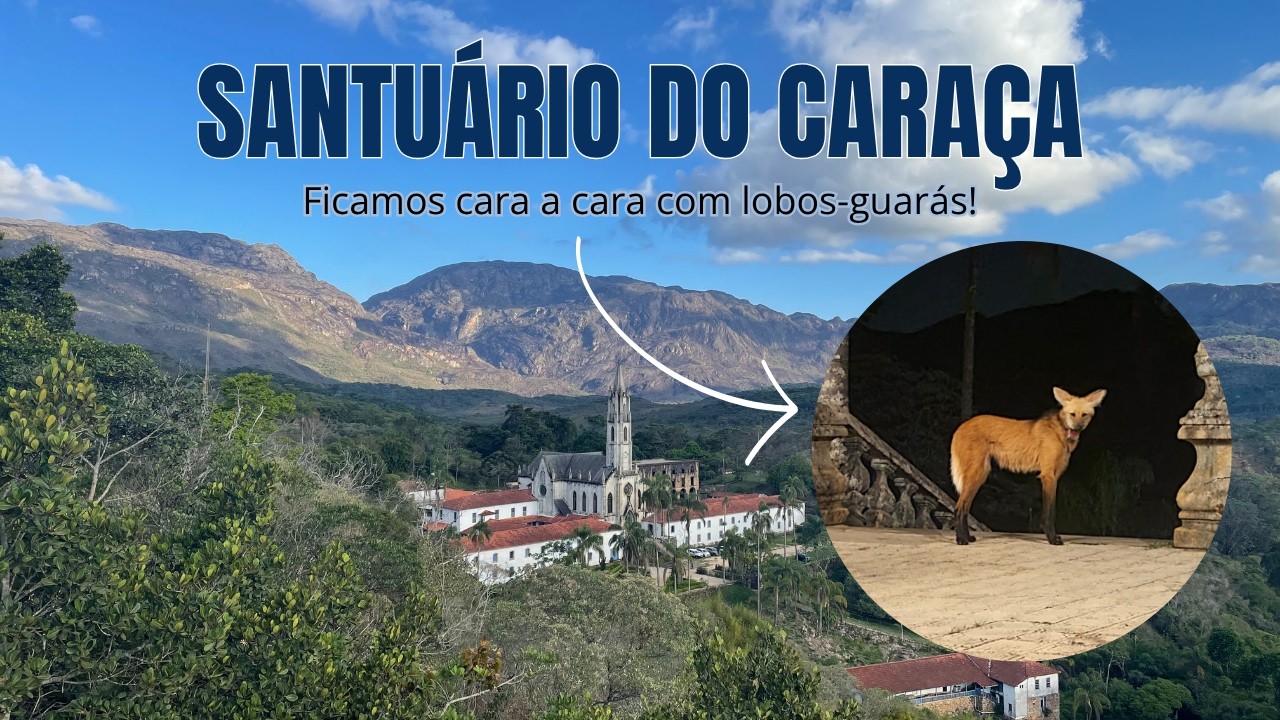 SANTUÁRIO DO CARAÇA – MG: O Nosso Encontro Com Os Lobos-Guarás | Dicas e Valores [DOCUMENTÁRIO]