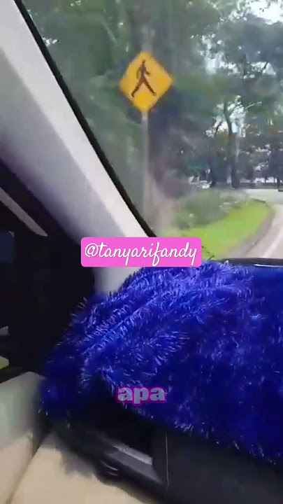 mengenal karakter wanita. #shortsviral #semuaorang #motivasi #tanyarifandy #motivasidiri