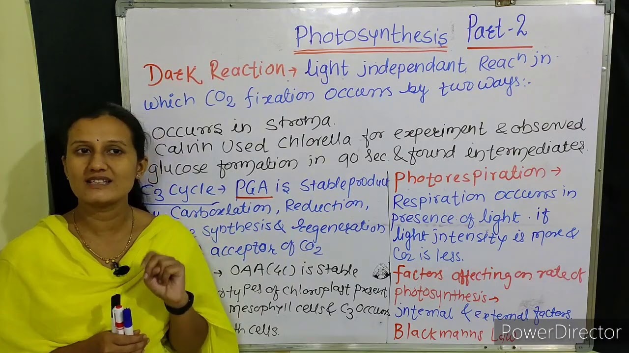 Effect of light intensity on photosynthesis experiment picture