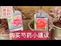 购买盆栽芍药的几个小建议 花店居然看见 伊藤牡丹 Peony 购买盆栽芍药的几个小建议 花店居然看见 伊藤牡丹 Peony