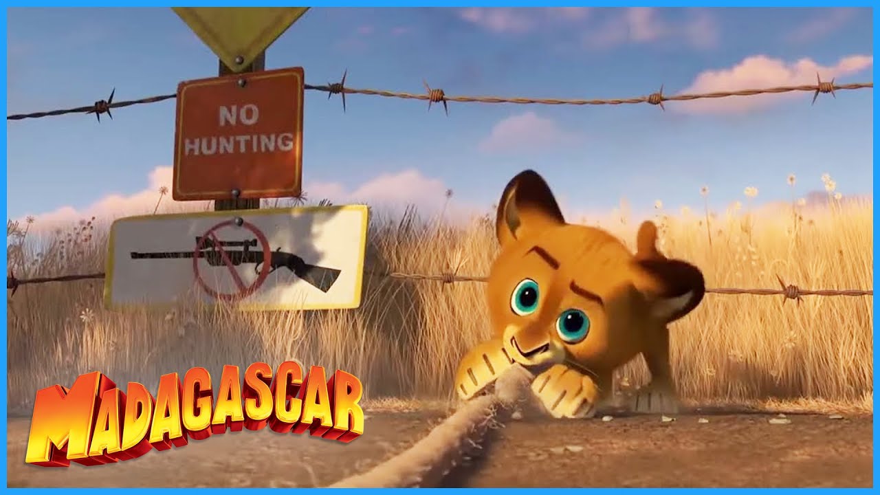 ⁣DreamWorks Madagascar | Baby Alex Kidnapped! | Madagascar Movie Clip