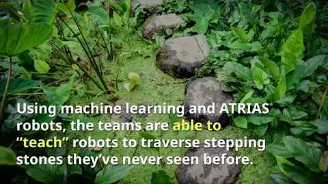 Researchers train bipedal robots to step lightly over rough terrain