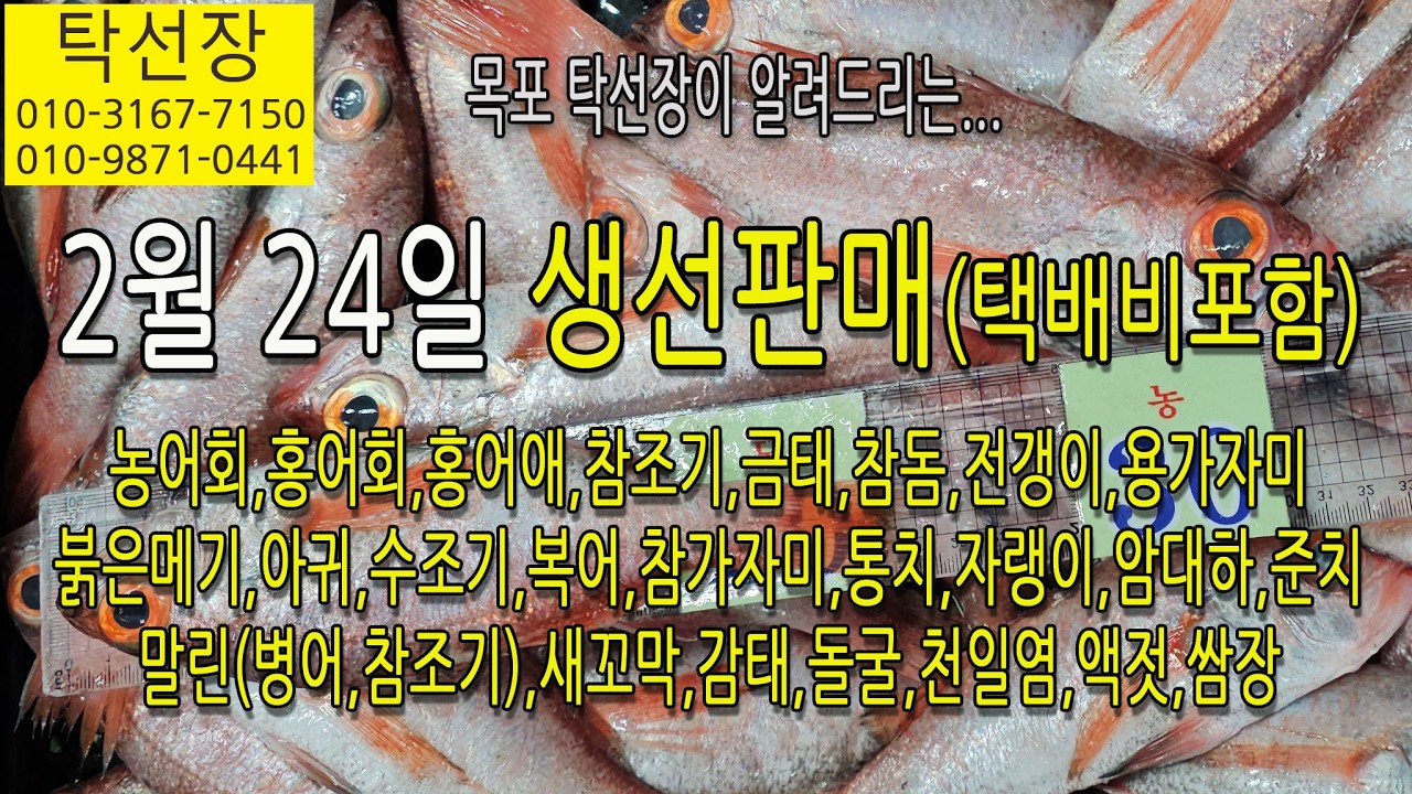 2월 24일, 농어회, 홍어회, 홍어애, 참조기, 금태, 전갱이, 가자미, 아귀, 통치, 수조기, (탁선장 남도농수산 생선카페 010 3167 7150. 010 9871 0441)