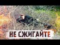 Когда-то заброшенный участок становится чистым и уютным