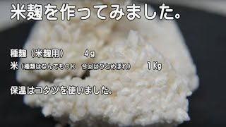 米麹（米こうじ）の作り方。コタツで作ってみました。