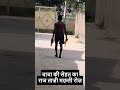 चाचा की सेहत का राज ताज़ी मछली रोज़ #fish #fitness #shorts #shortsfeed